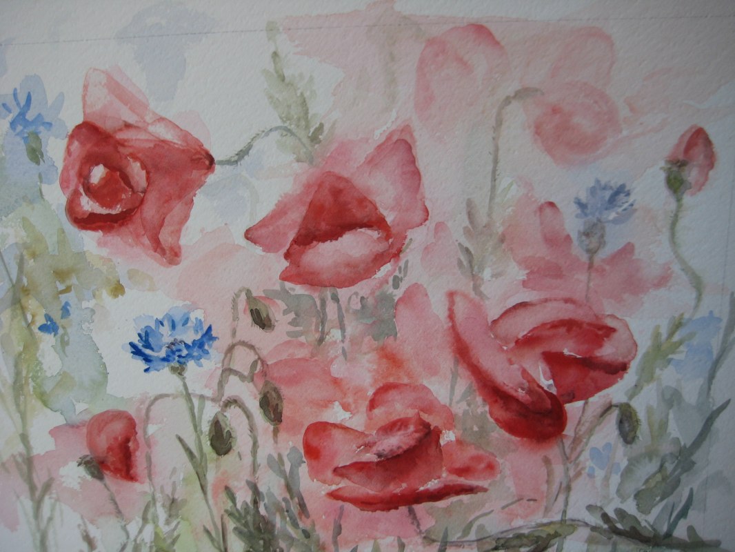 &copy; Cornelia Ciechocki