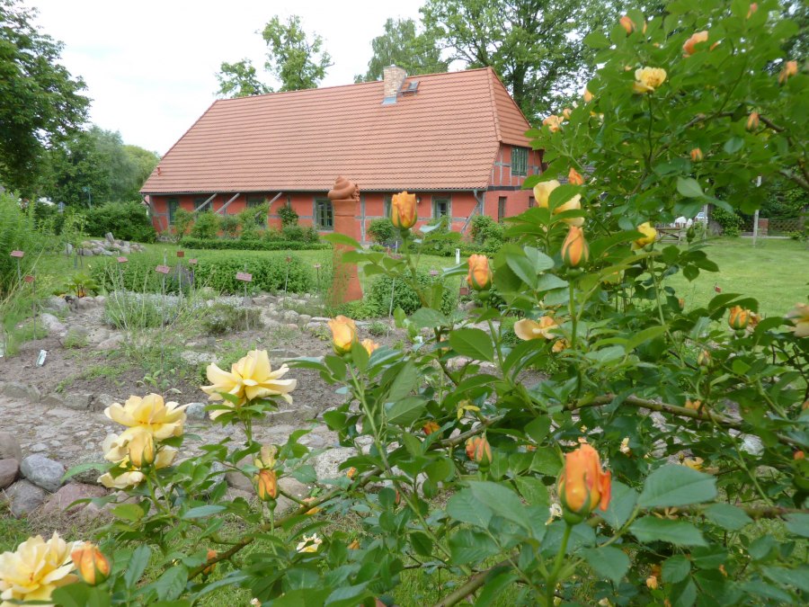 Wiesenpark am Wossidlo Haus, © MPL