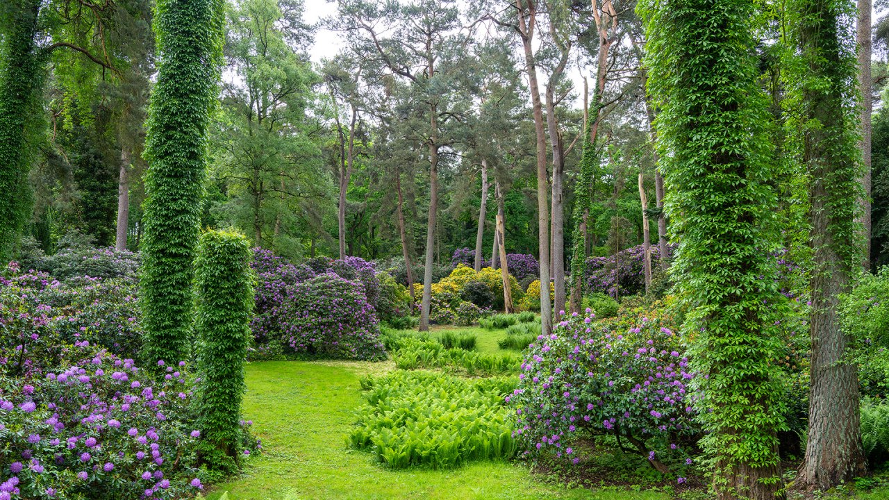 Blumen, B&uuml;sche und B&auml;ume im Zoo Rostock. // &copy; Zoo Rostock/ Dr&uuml;bbisch