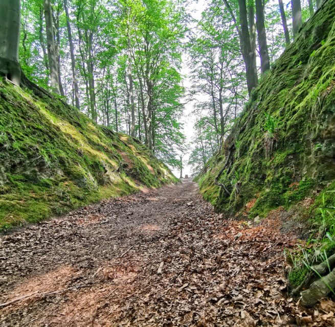 Naturschutzgebiet Granitz auf R&uuml;gen
Teufelsschlucht bei Binz // &copy; Biosph&auml;renreservat S&uuml;dost-R&uuml;gen