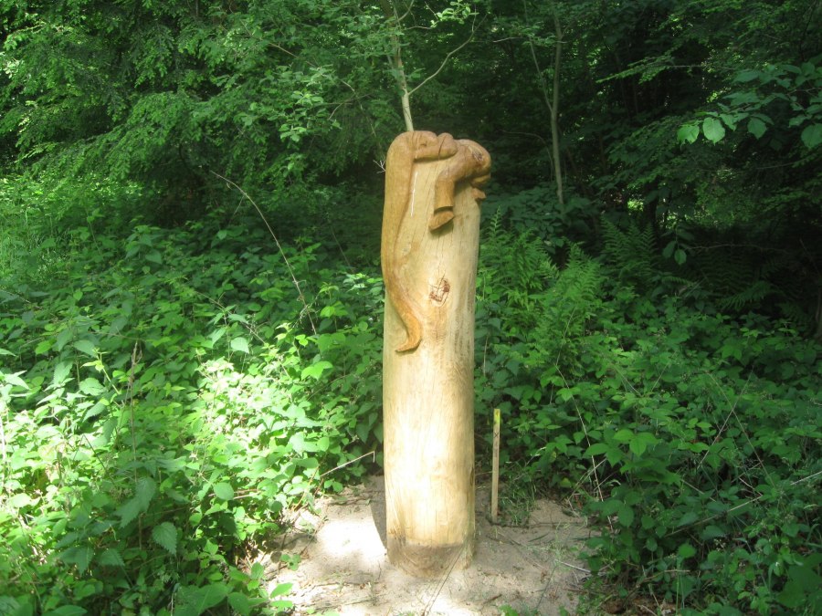 Im Paradiesgarten, © Landesforst