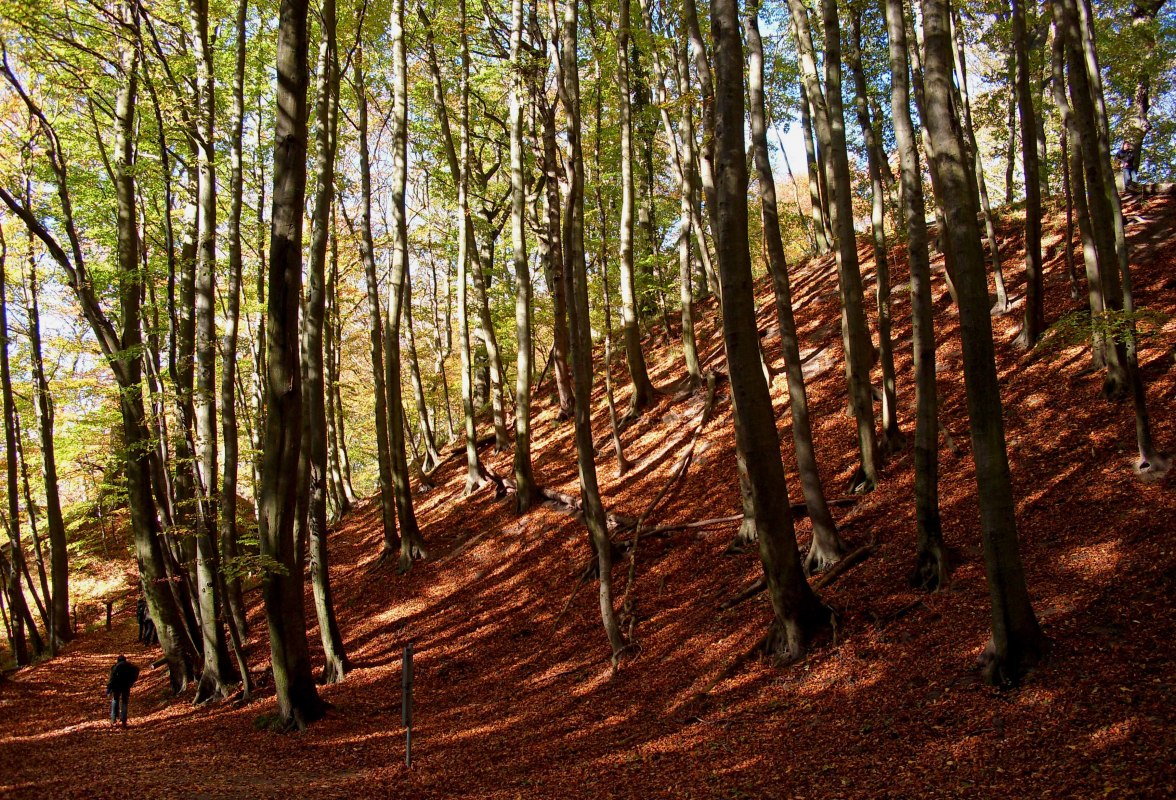 &copy; Katrin Staude