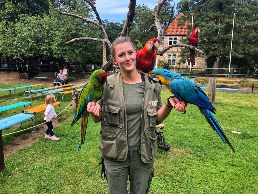 Flugshow im Zoo Stralsund, © Zoo Stralsund Flugshow im Zoo Stralsund, © Zoo Stralsund