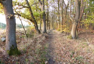 Wanderweg bei Kritzow // © Naturpark Sternberger Seenland Wanderweg bei Kritzow // © Naturpark Sternberger Seenland