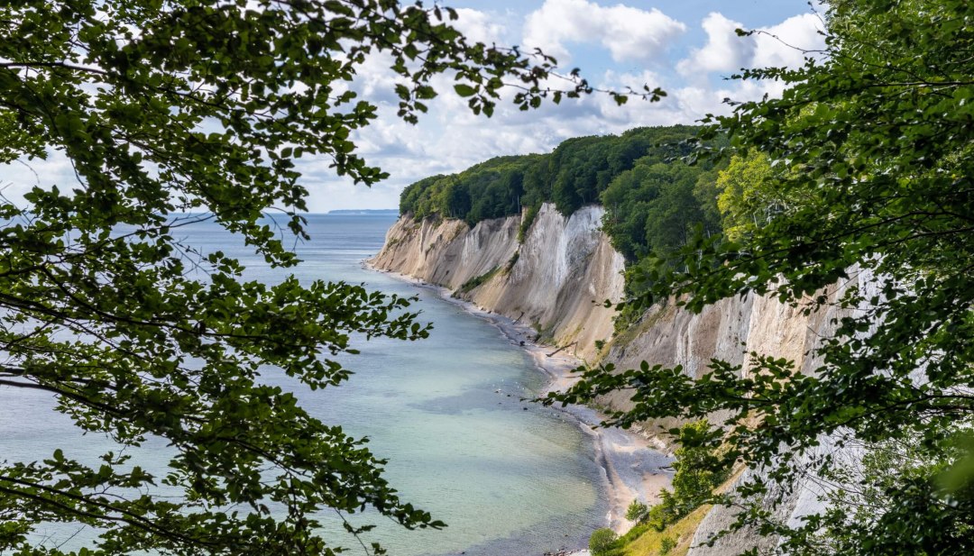 Der Buchenwald auf der kreidewei&szlig;en Steilk&uuml;ste von Jasmund. Der Blick geht entlang der K&uuml;ste mit Sicht auf die Ostsee