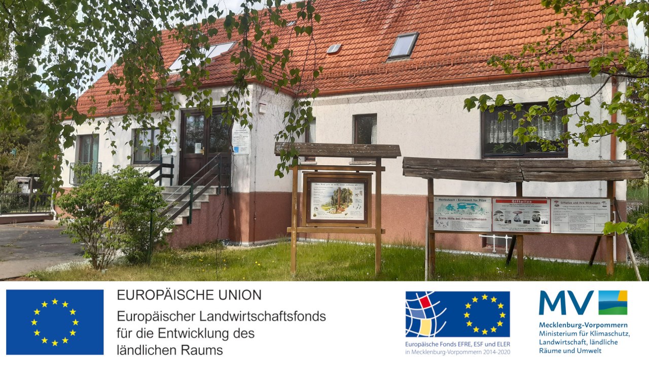 &copy; Ausstellung.jpg