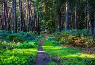 © insel-fotograf.eu, Andreas Dumke © insel-fotograf.eu, Andreas Dumke