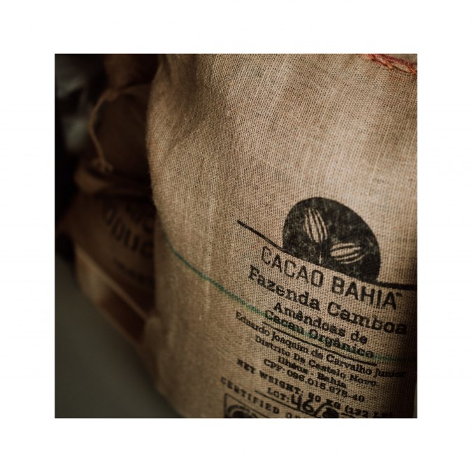 Kakaobohnen, © Roy Zimmer Kakaobohnen, © Roy Zimmer