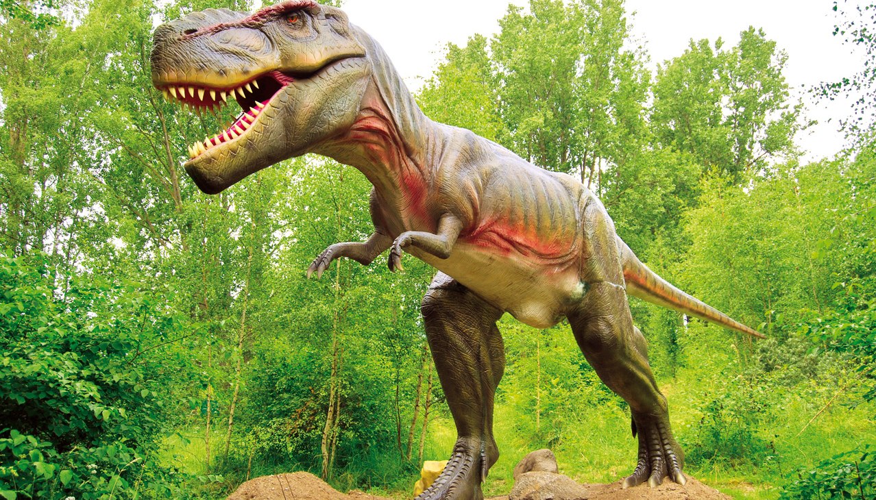 Tyrannosaurus Rex, © Marcel Kunkel Tyrannosaurus Rex, © Marcel Kunkel