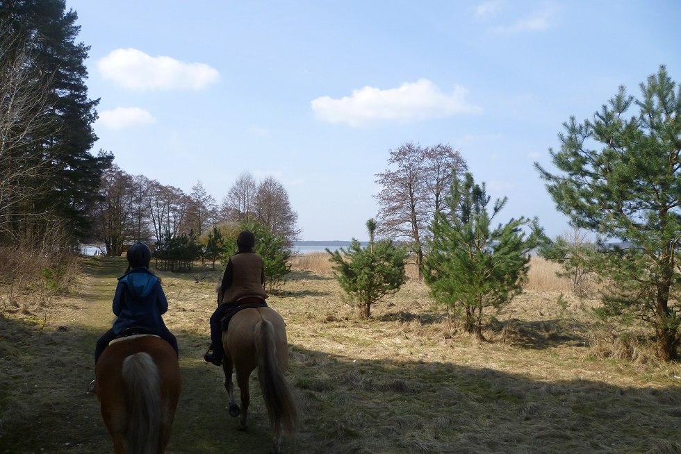 Direkt vom Fennhof auf dem Pferderücken durch die traumhafte Kulisse des Riether Winkels // © Fennhof/Steinhof Direkt vom Fennhof auf dem Pferderücken durch die traumhafte Kulisse des Riether Winkels // © Fennhof/Steinhof