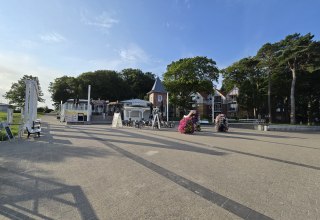 &copy; 20250807_073854.jpg