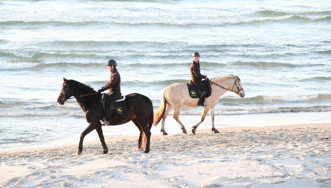 Reiten am Strand, &copy; TMV/ACP Pantel