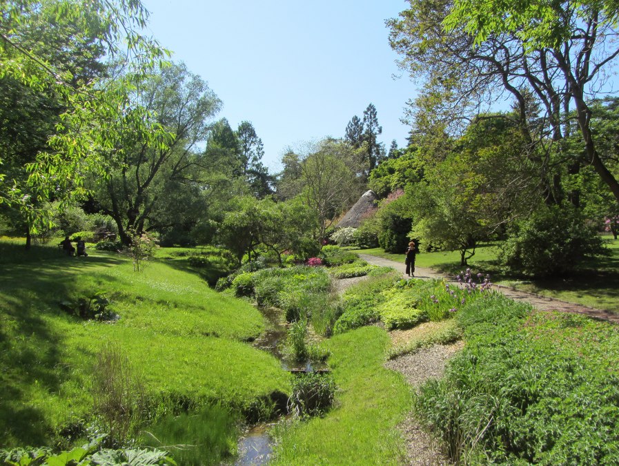 Botanischer Garten Rostock, &copy; Joachim Kloock