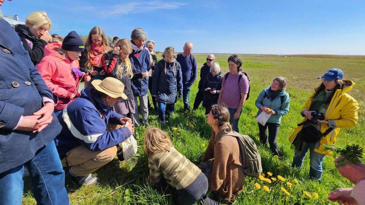&copy; F&ouml;rderverein Nationalpark Boddenlandschaft