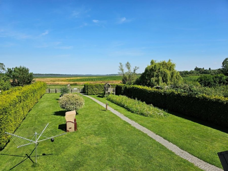 Apartment-Seepferdchen, &copy; Sabine Maus