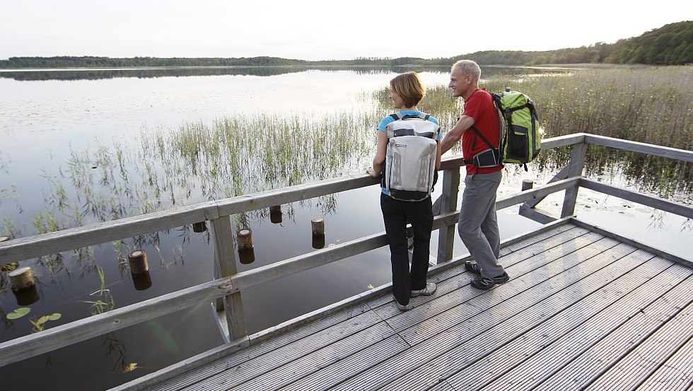 Weite Ausblicke genießen: Die Beobachtungsplattform am Nordufer des Priesterbäker Sees liegt mitten im Müritz-Nationalpark // © MV-T/outdoor-visions.com Weite Ausblicke genießen: Die Beobachtungsplattform am Nordufer des Priesterbäker Sees liegt mitten im Müritz-Nationalpark // © MV-T/outdoor-visions.com