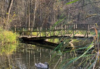 Schaalebrücke // © E. Dornblut Schaalebrücke // © E. Dornblut