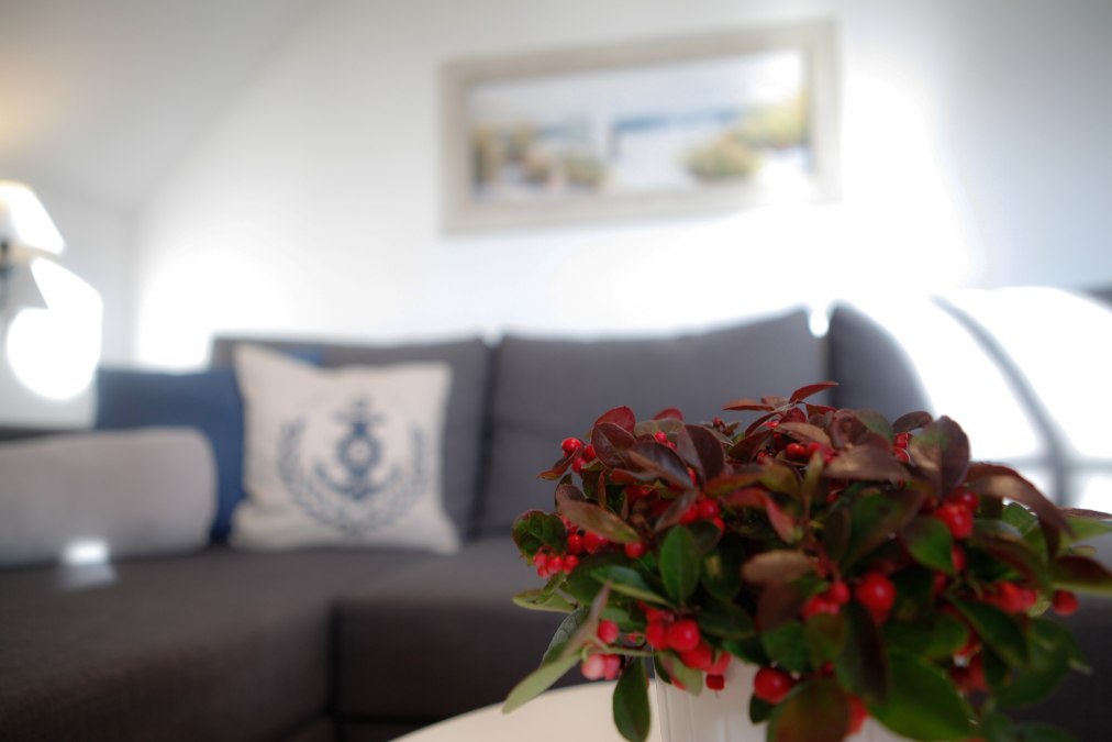 Captain Pahlen Ferienanlage, &copy; Captain Pahlen Ferienanlage