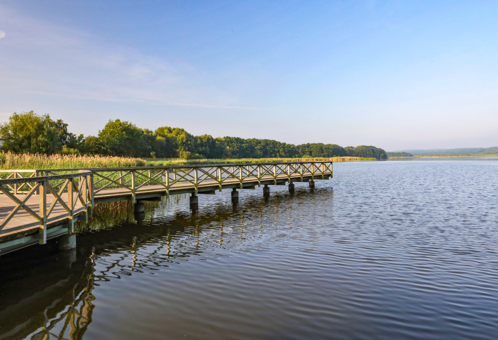 park-am-schmachter-see_2, © TMV/Gohlke park-am-schmachter-see_2, © TMV/Gohlke