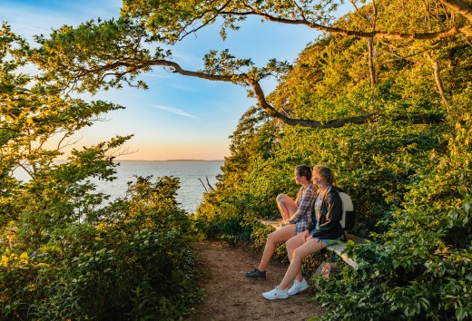 Zwei Frauen sitzen im Wald an der Steilk&uuml;ste und schauen von oben auf den Bodden bei Sonnenuntergang.