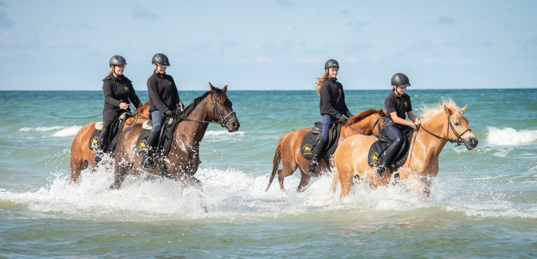 bernsteinreiter_strandritt_1, © bernsteinreiter bernsteinreiter_strandritt_1, © bernsteinreiter