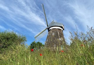 &copy; S.B&ouml;hler