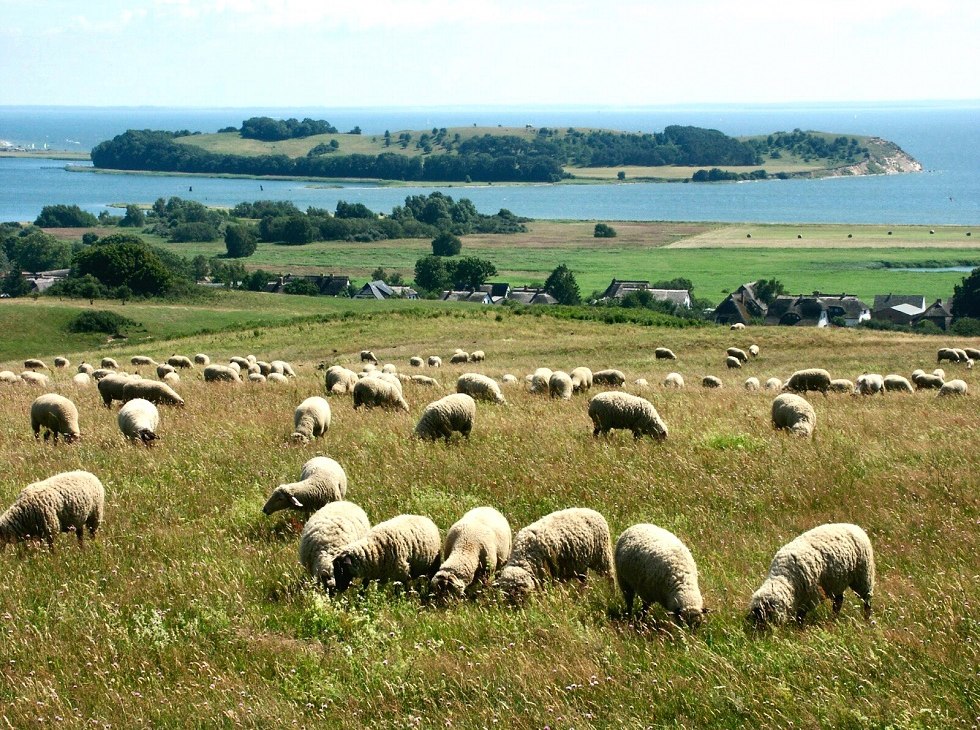Blick vom Bakenberg zur Insel Vilm, © Tourismuszentrale Rügen Blick vom Bakenberg zur Insel Vilm, © Tourismuszentrale Rügen