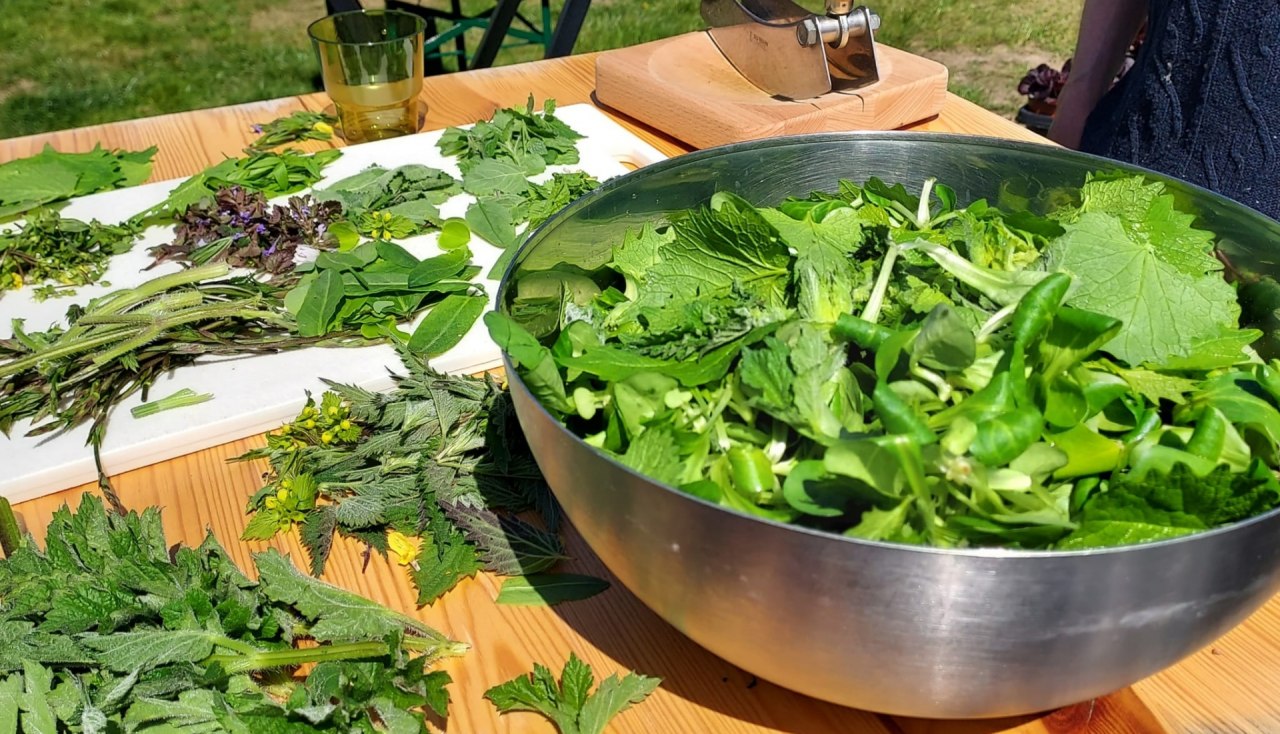 Wilde Zutaten // &copy; Martin Hagemann