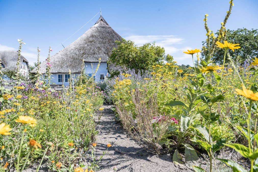 MCHGT202181036-6694, © Lars Wehrmann