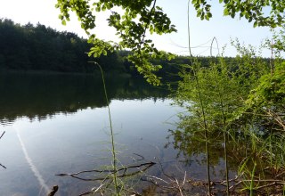 &copy; Bianca Schubert