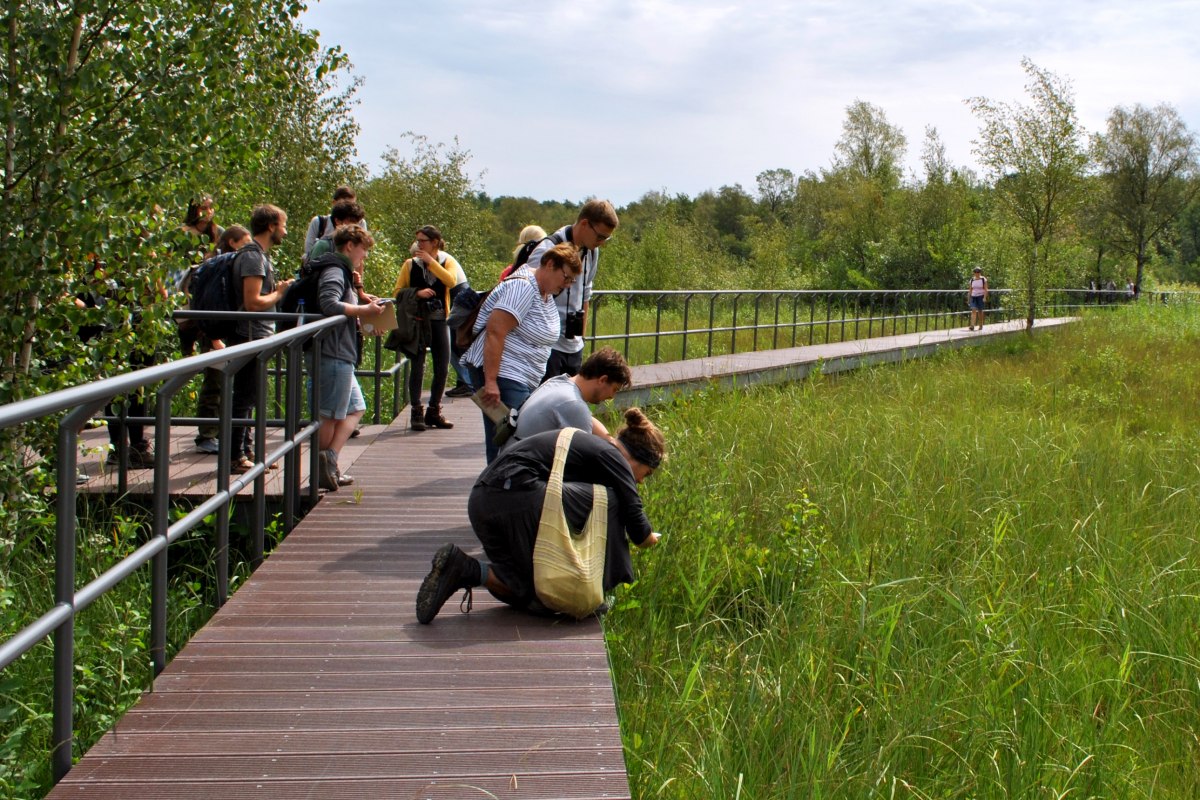 &copy; E. Dornblut, Biosph&auml;renreservatsamt Schaalsee-Elbe
