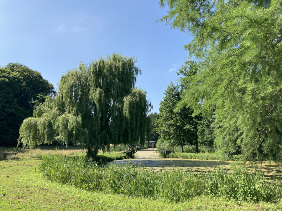 Im Schlosspark Semlow, &copy; Tourismusverein VR/Manuela Steimle