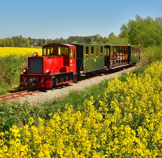 Lok im Rapsfeld // &copy; Bernd Lotzow