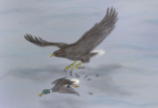 &copy; L-M.K&uuml;hn/M&uuml;ritzeum