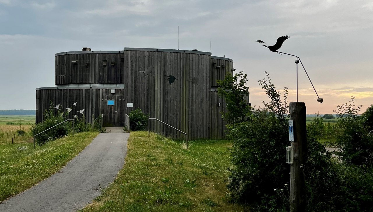 Kranorama_TV FDZ_Klutta, © TV FDZ_Klutta