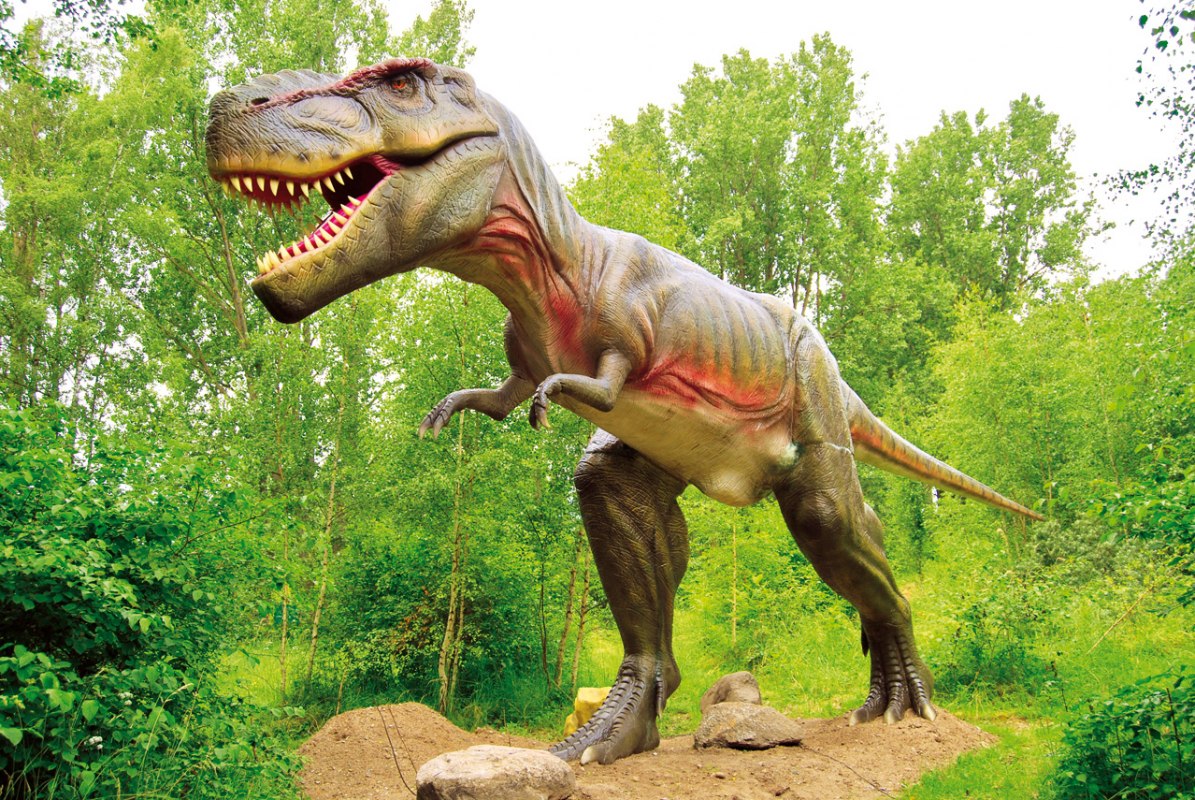 Tyrannosaurus Rex // &copy; Marcel Kunkel