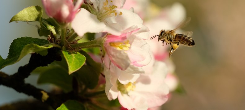 © Evelin Kartheuser © Evelin Kartheuser