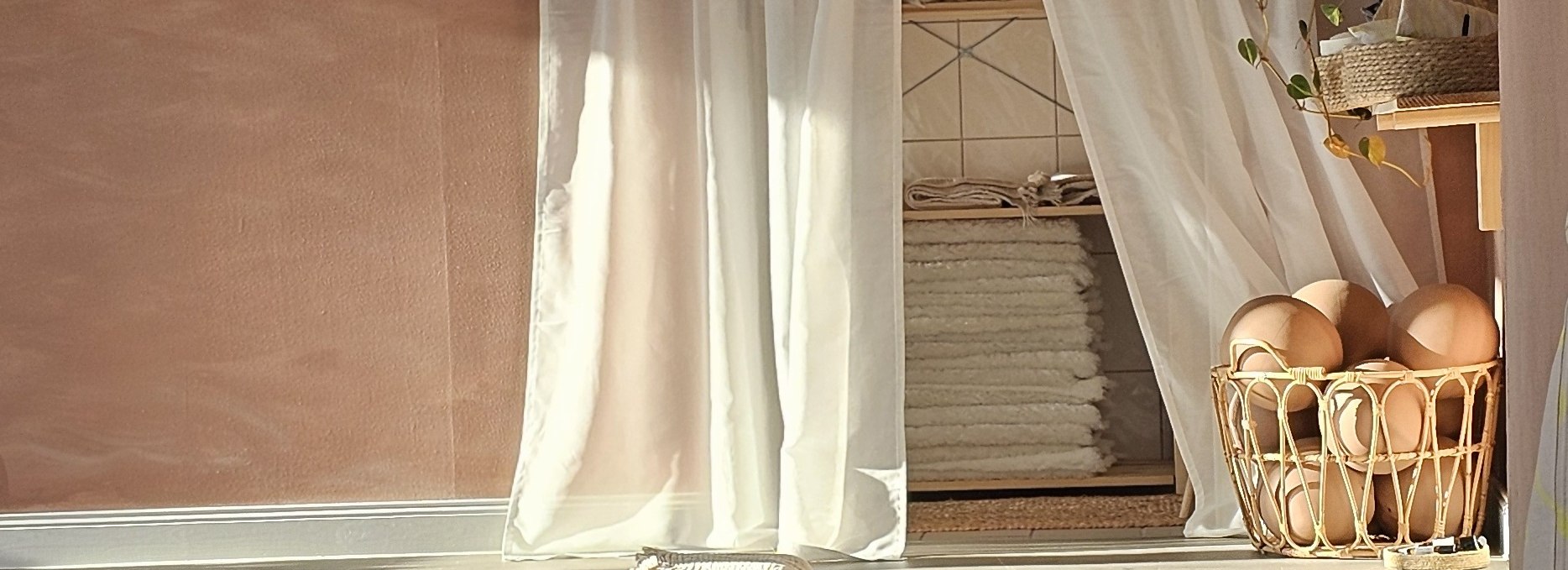 20260121_115535 20260121_115535