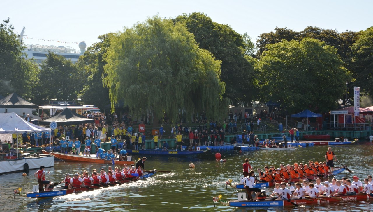 Drakenbootrace, © Pepe Hartmann Drakenbootrace, © Pepe Hartmann