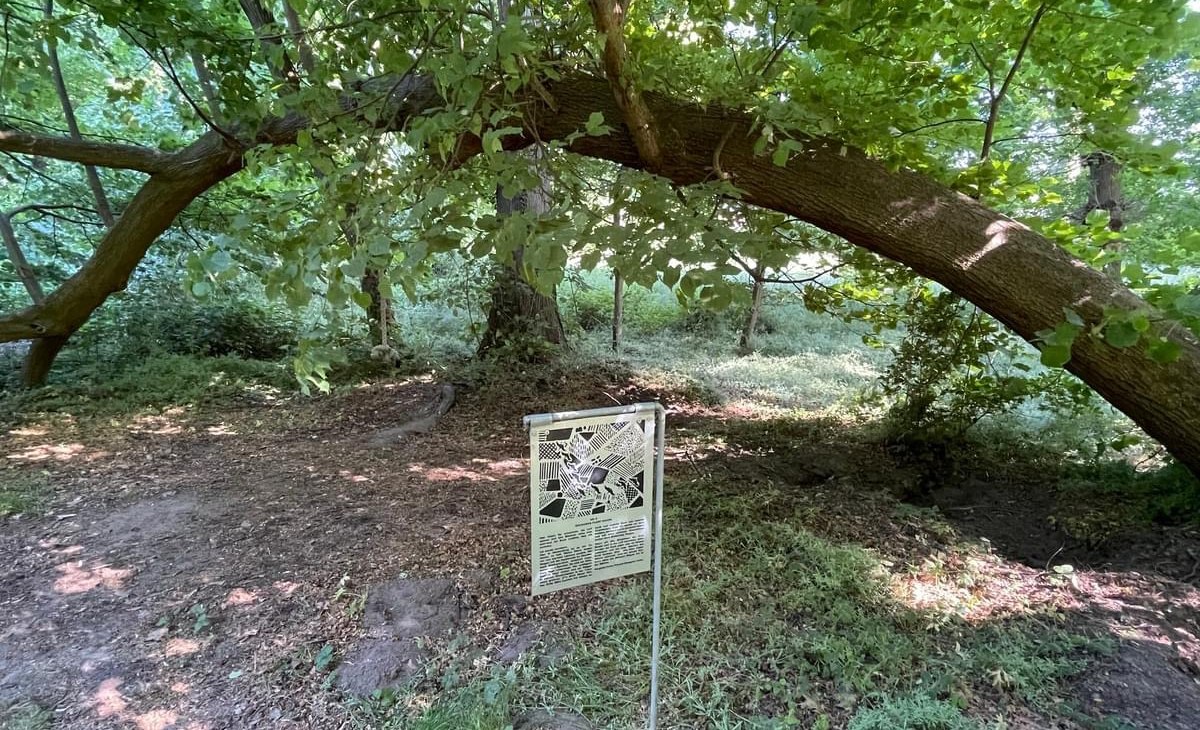 IMG_3624, © TZ Südliche Boddenküste IMG_3624, © TZ Südliche Boddenküste