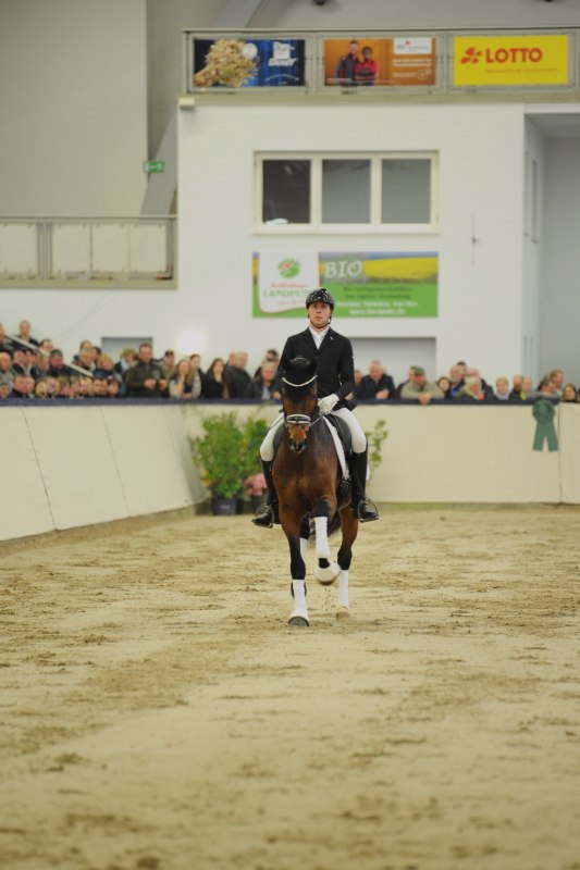 Hengstpr&auml;sentation, &copy; A. Strohbehn