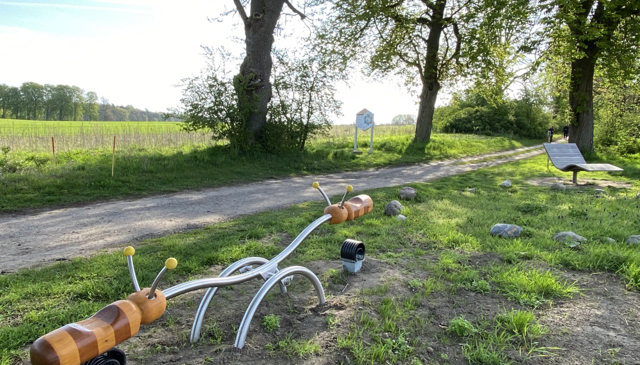 Zeit zum Spielen entlang des Bienenlehrpfades im Land Fleesensee, © KUTGL/Muster Zeit zum Spielen entlang des Bienenlehrpfades im Land Fleesensee, © KUTGL/Muster