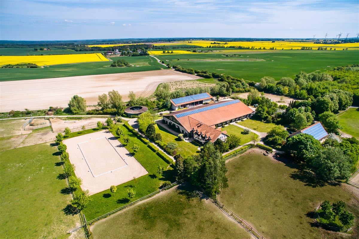 Peeneland boerderij // © Bombis Peeneland boerderij // © Bombis