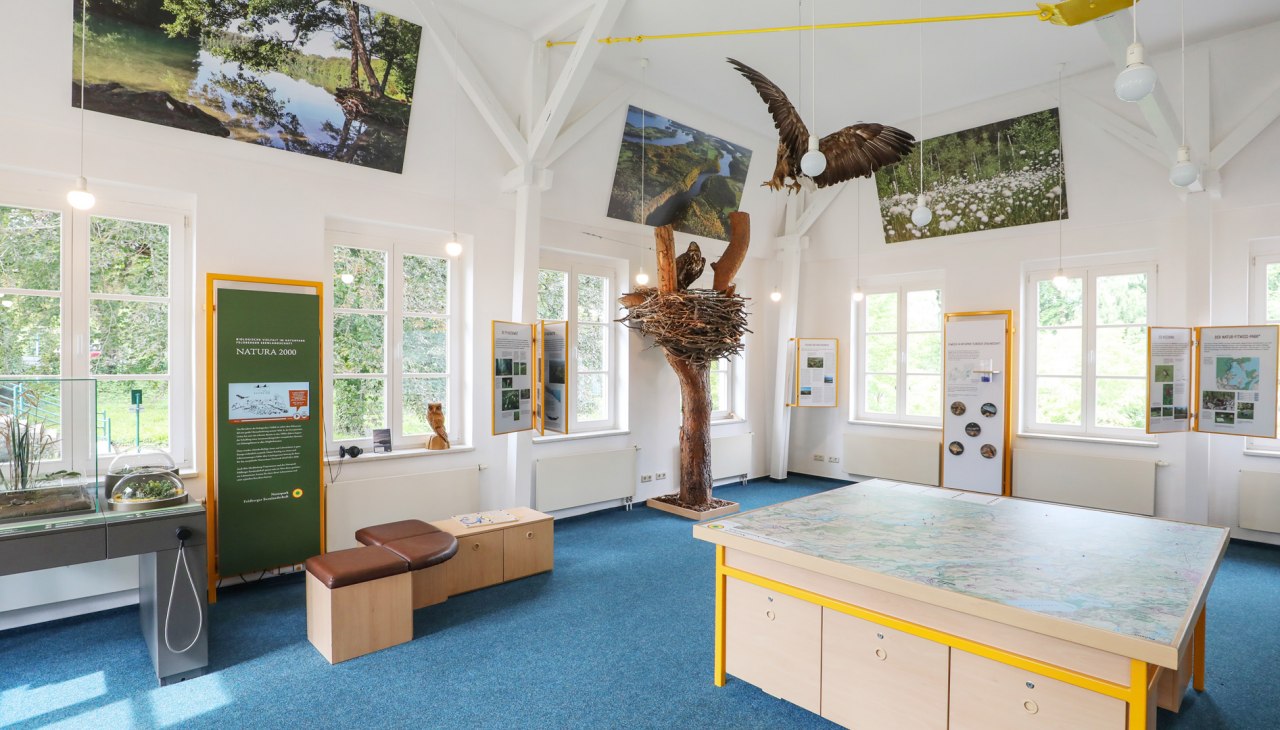 Naturparkausstellung zum Naturpark Feldberger Seenlandschaft im Haus des Gastes_1, © TMV/Gohlke Naturparkausstellung zum Naturpark Feldberger Seenlandschaft im Haus des Gastes_1, © TMV/Gohlke