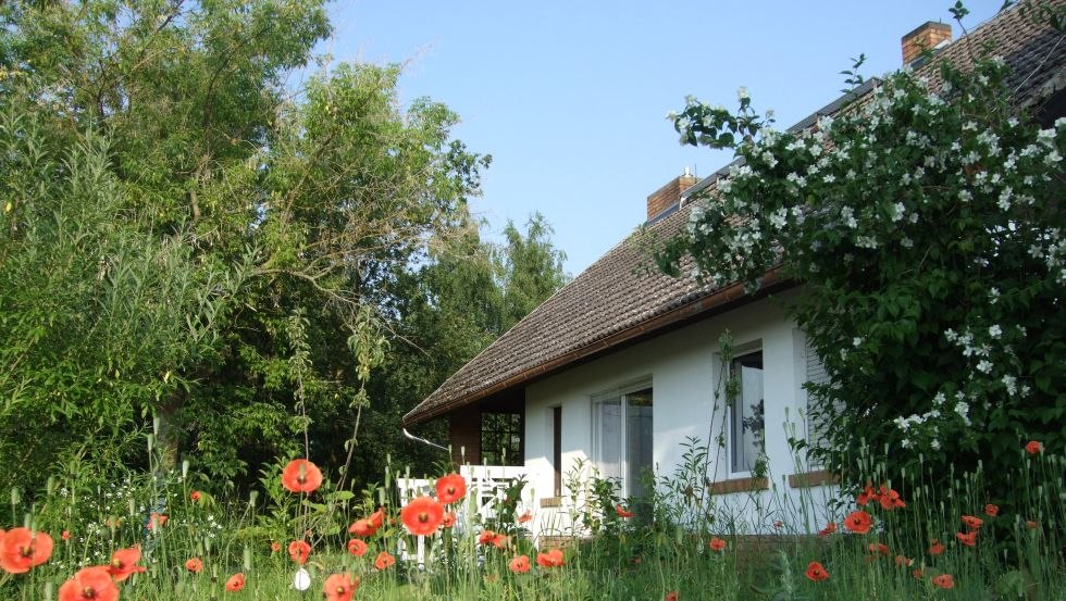Die Akademie Ahlbeck eingetaucht in rot leuchtende Mohnblumen // &copy; Akademie Ahlbeck/Henrich