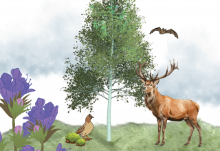 Grafik mit Canva erstellt // &copy; M&uuml;ritzeum