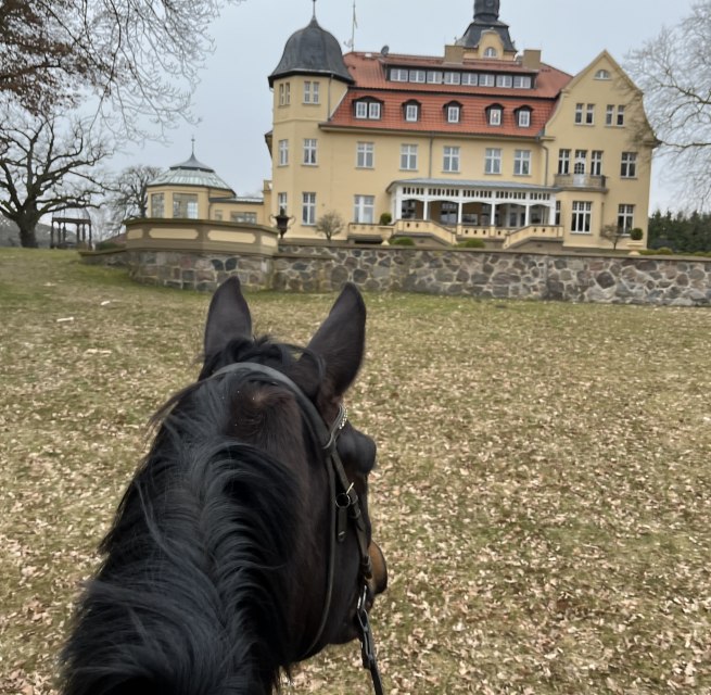 Bernsteinreitertag in Wendorf, © de Bernsteinreitertag in Wendorf, © de