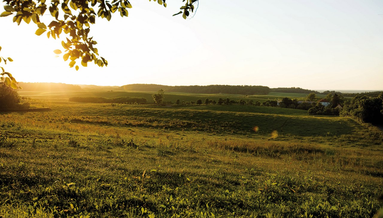 Die idyllische Landschaft Klepelshagens, © Gourmet Manufaktur Gut Klepelshagen
