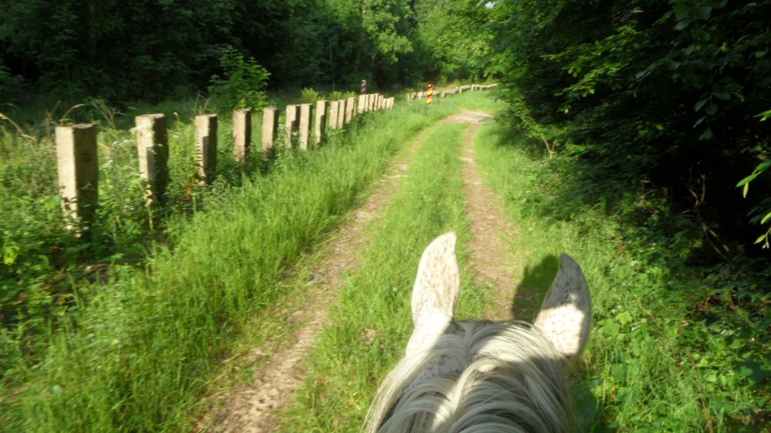 Reiten an der Grenze, © von Eick Reiten an der Grenze, © von Eick
