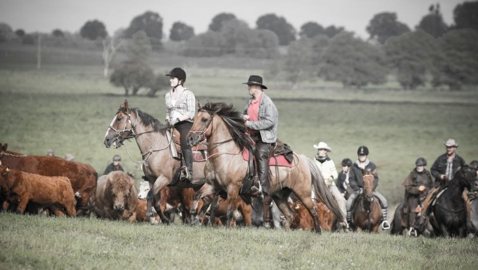 Wie die Cowboys im Wilden Westen unterwegs sein- auf dem FerienGut Dalwitz. // © FerienGut Dalwitz Wie die Cowboys im Wilden Westen unterwegs sein- auf dem FerienGut Dalwitz. // © FerienGut Dalwitz